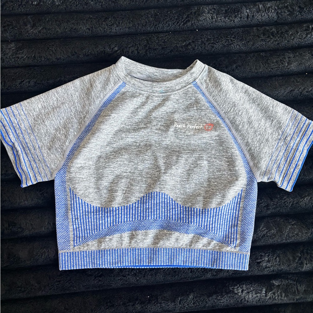 Gray and Blue Short Sleeve Crop Workout Top